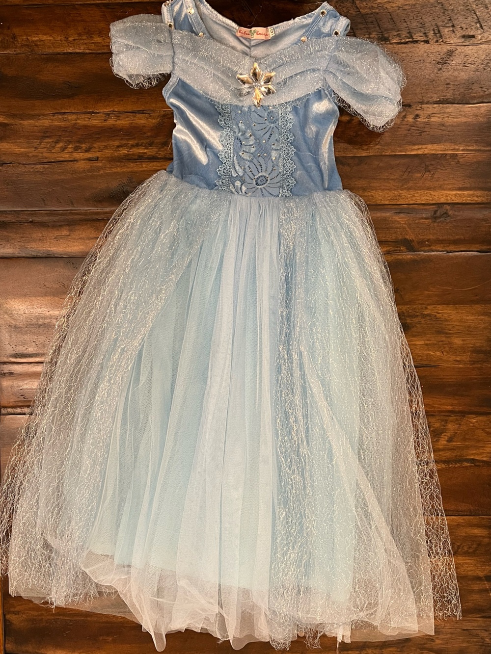Princess, Blue Lace & Tulle Girls' Princess Party Dress